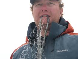 Cast Netting Pogies to Use as Bait for Huge Stripers