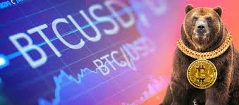 An Incoming Bitcoin Bear Market Might Be Around The Corner Analysis