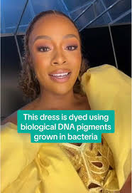 Anele Mdoda and Nomzamo Mbatha Green Dress