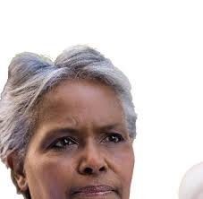 ALAMO AREA COUNCIL OF GOVERNMENTS