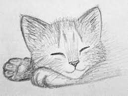 Maybe you would like to learn more about one of these? Image Result For Easy Animals Sketches Charcoal Kitten Drawing Pencil Drawings Of Animals Animal Drawings
