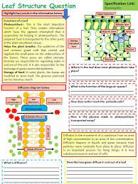 David Chalk Teacherchalky1 Twitter Biology Worksheet Gcse Science Revision Gcse Science