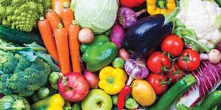Canadian Dietetic Knowledge Competencies The Chang School Of Continuing Education Ryerson University