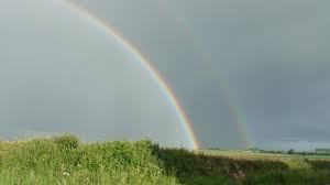 Dernière heure / conseil national de l'entreprise, l'éducation et la formation clés de la relance économique Quel Temps Fera T Il Ce Week End De Pentecote