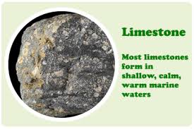 Trace fossils are concentrated towards the base of the member, where. Sedimentary Rocks