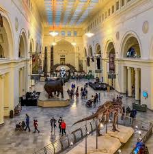Embrace your inner anthropologist, biologist or astronomer at the best chicago museums. Chicago Field Museum Of Natural History Field Museum Chicago Chicago Museums Chicago History Museum