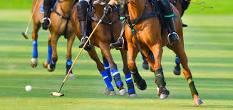 Prise de sang montréal offre des prélèvements médicaux en clinique ou à domicile ainsi que l'analyse de spécimens en laboratoire (public ou privé). Coups De Sang Cheval Myosite Symptomes Gestion Prevention Reverdy