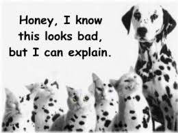 Why Not Just Avoid The Conflicts All Together Spay And Neuter Your Pets Dog Quotes Funny Cat Quotes Funny Funny Animal Quotes