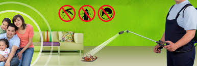Provided customer service calling existing customers to set up routine pest control services. Bug Buster