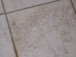 The compound is a quick and effective stain remover for stone tile, travertine tile, granite tile,. How To Clean Stained Tiles With Stubborn Dirt On Them Cleaning Tile Floors Tile Removal Cleaning Bathroom Tiles