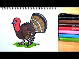 How To Draw A Turkey Coloring With Markers Youtube Turkey Drawing Turkey Colors Drawings