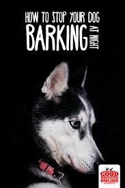 We did not find results for: Pin On Dog Training