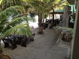 A mere 28 minutes' drive from samui international airport. View From Beach Bungalow Picture Of Lamai Inn 99 Maret Tripadvisor