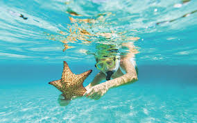 Resultado de imagem para tenha saude