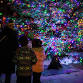 Broadway District Tree Lighting event image