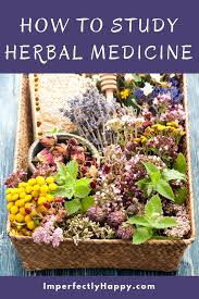 This program is the program for you. Herbal Academy Affordable Engaging And Flexible Online Studies Herbalism Herbal Medicine Herbal Education