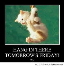 We did not find results for: Tomorrow Is Friday Funny Quotes Quotesgram