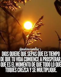 La Biblia Catolica La Biblia Frases Espirituales Frases Sabias Frases Religiosas