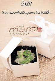Cadeau Original Et Pas Cher Pour Vos Invites Mariage Des Succulentes Mariage Petit Budget Cadeau Invite Mariage Cadeau Mariage