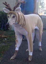 Reindeer Greyhound Costume Reindeer Custom Sized Etsy Reindeer Dog Christmas Dog Costume Best Dog Costumes