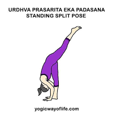 Pin On Yoga