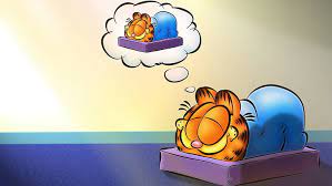 27 garfield hd wallpapers and background images. Garfield Garfield Computer Garfield Screensaver Garfield Hd Hd Wallpaper Wallpaperbetter