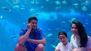 Назад · tarif hotel di singapur land batu bara. Bermalam Di Resort World Sentosa Segini Harga Kamar Bawah Laut Raffi Dan Nagita Tribun Batam