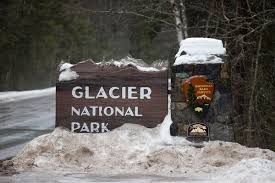 Hiker Killed by Bear at Glacier National Park, Officials Say