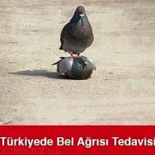Turkiye De Bel Agrisi Tedavisi Mizah Matrak Espri Komik Saka Girgir Sozler Guzelsozler Komiksozler Caps Mizah Komik Seyler Komik Resimler