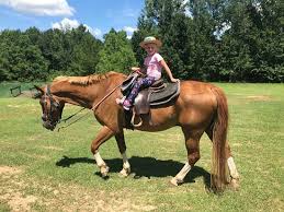 (ap) — a southeast louisiana state park has new camping, biking and horseback riding options for its visitors. The Best Things To Do Near Bogue Chitto State Park Franklinton Tripadvisor