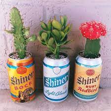 How to propagate an easter cactus. Pflanze In Der Bierdose Beer Garden Design Plants Cacti And Succulents