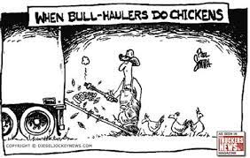 Bull_hauler streams live on twitch! Bull Hauler Memes