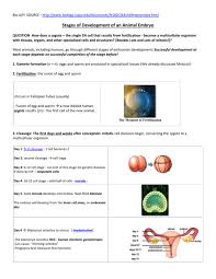 Check spelling or type a new query. Stages Of Development