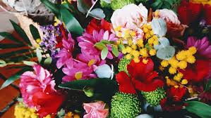 Check spelling or type a new query. Pura Vida Flors I Plantes Floristeria En Barbera Del Valles