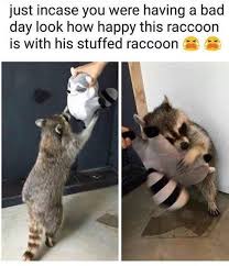 35 Hilarious Memes Guaranteed To Make You Laugh Cute Animals Funny Animal Memes Cute Baby Animals