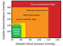 15 Unique Blood Pressure Guidelines