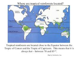 Conservation international was a pioneer in defining and promoting the concept of hotspots. Introduction To Rainforests
