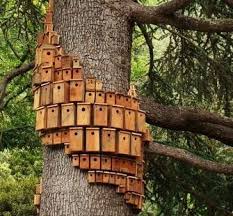 Bird Houses This Is So Awesome You D Have A Choir In Your Yard Which Might Not Be So Good Early In The Morning But Ohh What Bird Houses Bird