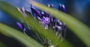 It's All About Family