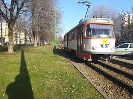 Totusi spatii intre lemne raman. Agent Economic Amendat Cu 20 000 De Lei Pentru Prea Mult Gunoi Aradon