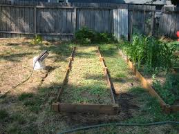 Do you know how often you should wash your pillowcases? Tilling Is One Chore You Might Be Able To Skip Finegardening