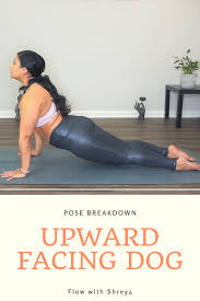 Upward Facing Dog Tutorial Upward Facing Dog Yoga Fitness Poses