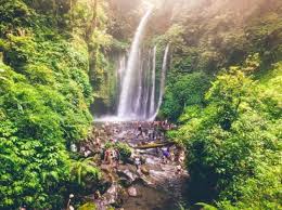 The track is steep and guides are recommended (100,000rp each; 10 Foto Air Terjun Tiu Kelep Waterfall Lombok Utara Akses Rute Jalan Menuju Cara Ke Lokasi Dimana Jejakpiknik Com