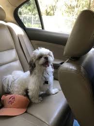 Meanwhile you can send your letters to. Harmony Vet Care Of Brandon 3301 John Moore Rd Brandon Fl Veterinarians Mapquest