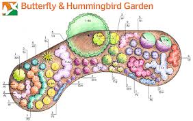 Garden Templates For Different Conditions Using Native Plants Shady Sunny Dry Moist Butterfly Hummingbird Garden Butterfly Garden Design Butterfly Garden