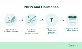 Hafford after consulting with two other surgeons. Gastric Sleeve And Pcos Everything You Need To Know