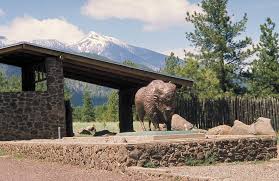 Passage 33 Flagstaff Explore The Arizona Trail Flagstaff, arizona is sits at the base of the san francisco peaks, surrounded by the largest ponderosa pine stand on earth. passage 33 flagstaff explore the