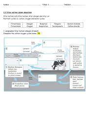 Pemindahan nutrien dan tenaga berlaku secara berterusan dalam sesuatu ekosistem. Bab 2 Kitar Nutrien Versi English Worksheet