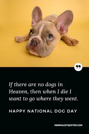 I think every day should be international dog day. If There Are No Dogs In Heaven Then When I Die I Want To Go Where They Went Happy Dog Day