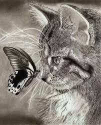 In Top 10 All Time Favorite Cat Pics Animals Realistic Animal Drawings Cute Animals